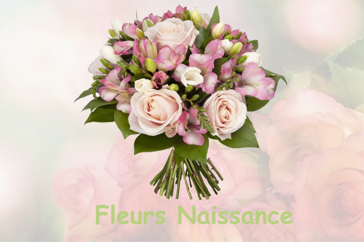 fleurs naissance SAINT-JOIRE